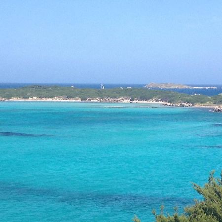 Grand Studio Route des Sanguinaires Très belle vue mer Appartamento Ajaccio  Esterno foto