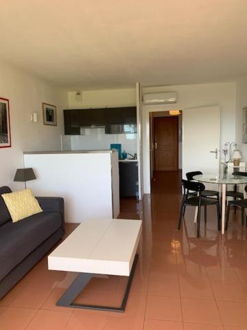 Grand Studio Route des Sanguinaires Très belle vue mer Appartamento Ajaccio  Esterno foto